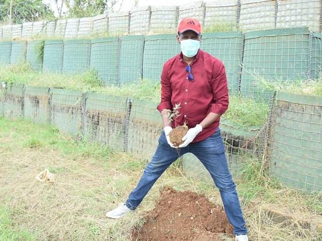 A staff member planting a tree seedling
